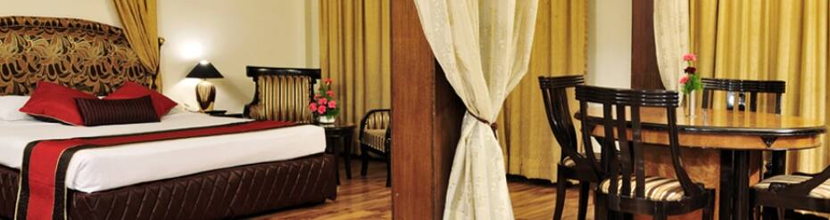 Hotel Avenel Palace, Mussoorie 5